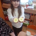 phoca_thumb_m_vnon tden 50 Fotogalerie